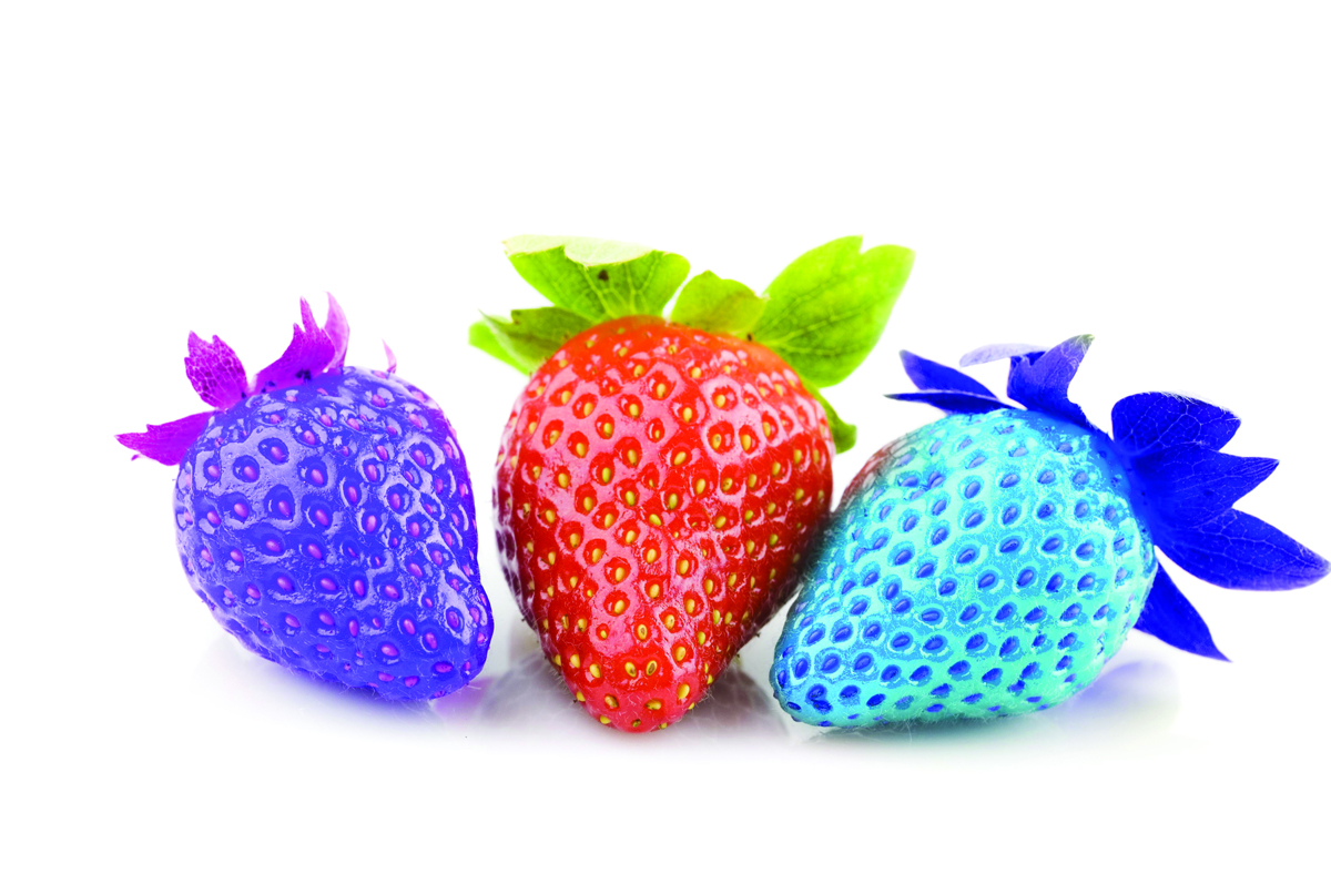 Photo: @ Wong Yu Liang / Shutterstock